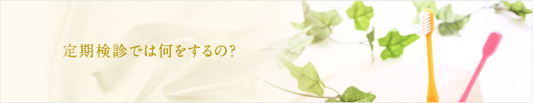 定期検診では何をするの？